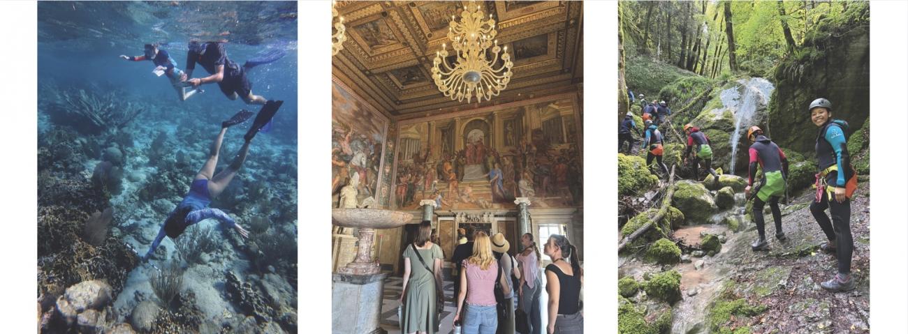Students in study away experiences shown diving, hiking, and touring a fancy home.