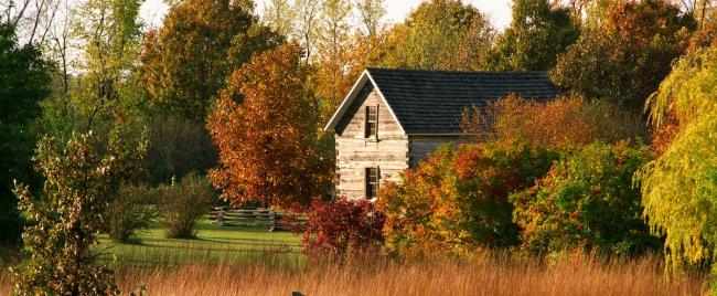 A contemporary fall scene with an 1800s cabin. 