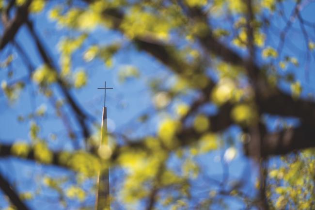 A cross on a spire through spring buds on trees.