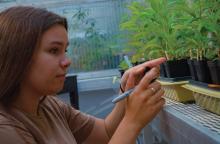 Ella examines a plant